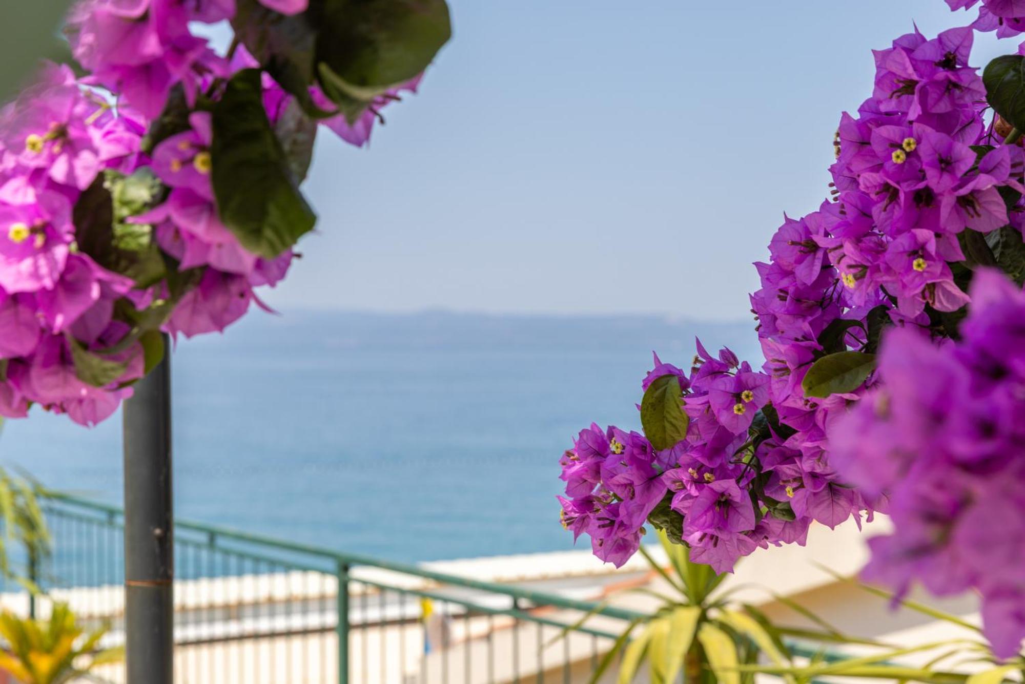 Apartmán Beachfront Comfort Nives Tucepi