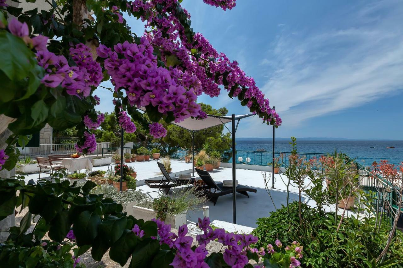 Apartmán Beachfront Comfort Nives